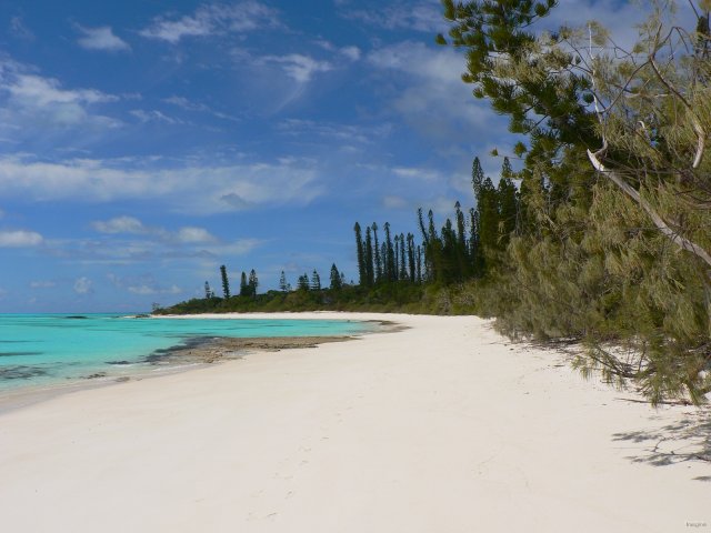 33- La plage de l'ilot Brosse 